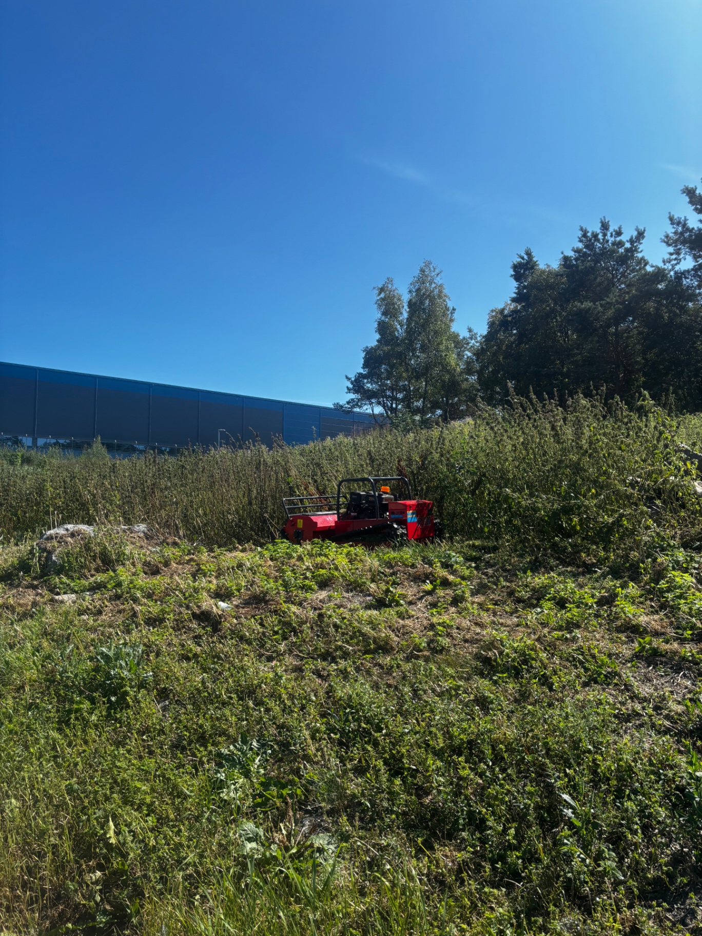 Röjrobot som kör i högt gräs och sly på hage